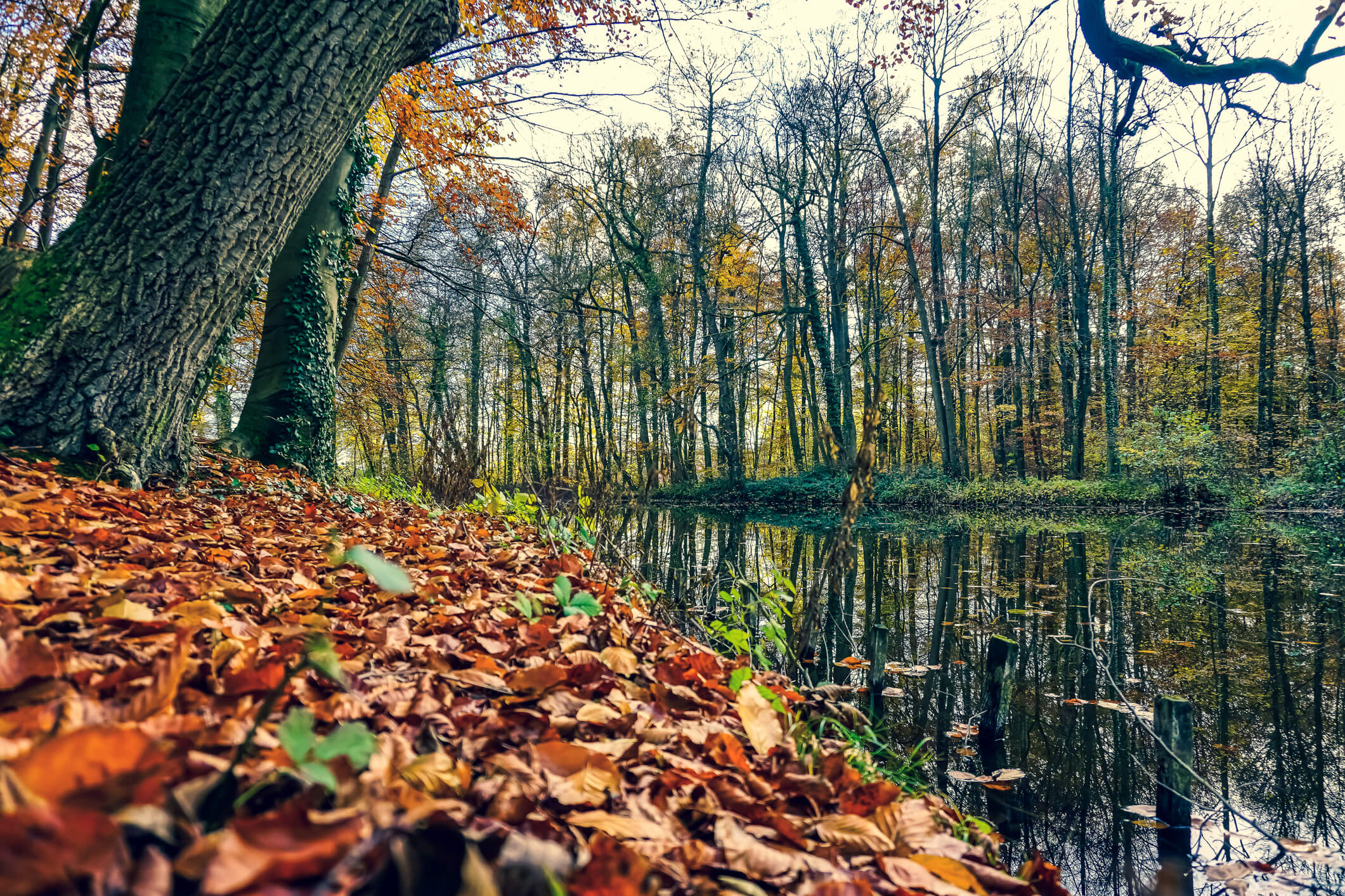 Mit diesen Änderungen im November lässt sich Geld sparen